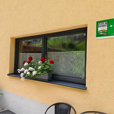 Alpenbauernhaus Konzett Schruns Exteriör bild